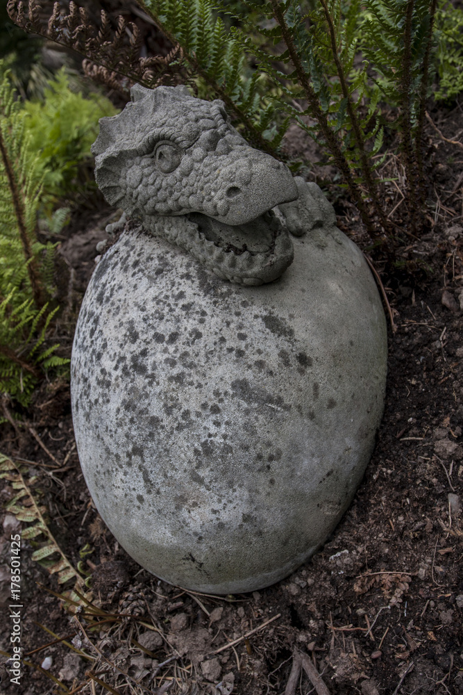 Obraz premium Dragon Egg