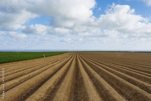 Plowed agricultural fields prepared for planting crops in Normandy  France. Countryside landscape  farmlands in spring. Environment friendly farming and industrial agriculture concept