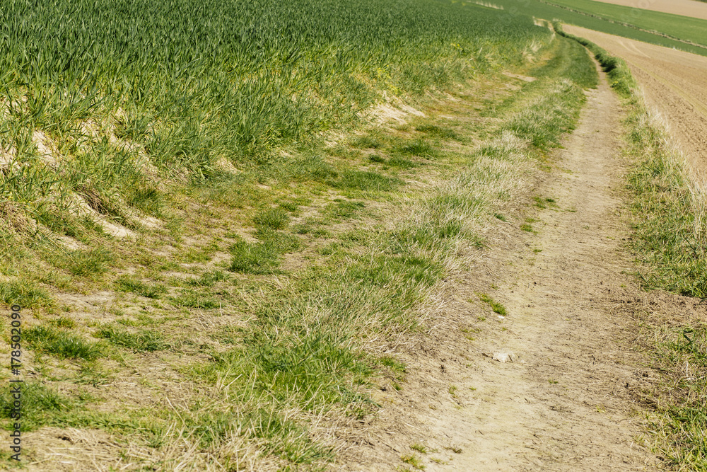 Agricultural fields and dirt road on a sunny spring day in Normandy, France. Countryside landscape Agricultural fields and dirt road on a sunny spring day in Normandy, France. Countryside landscape