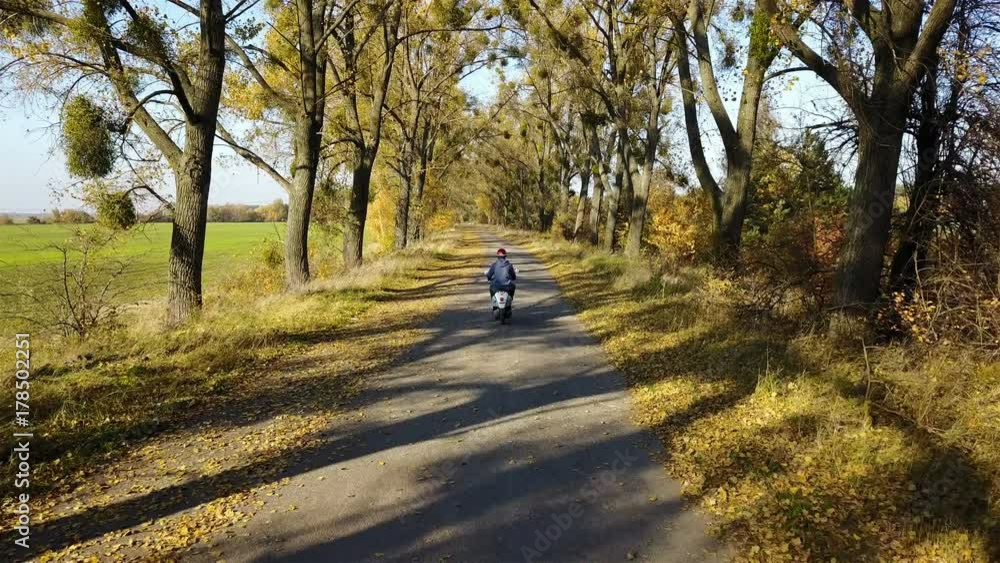 The road in the yellow autumn forest with alley and boy ride on a scooter The road in the yellow autumn forest with alley and boy ride on a scooter