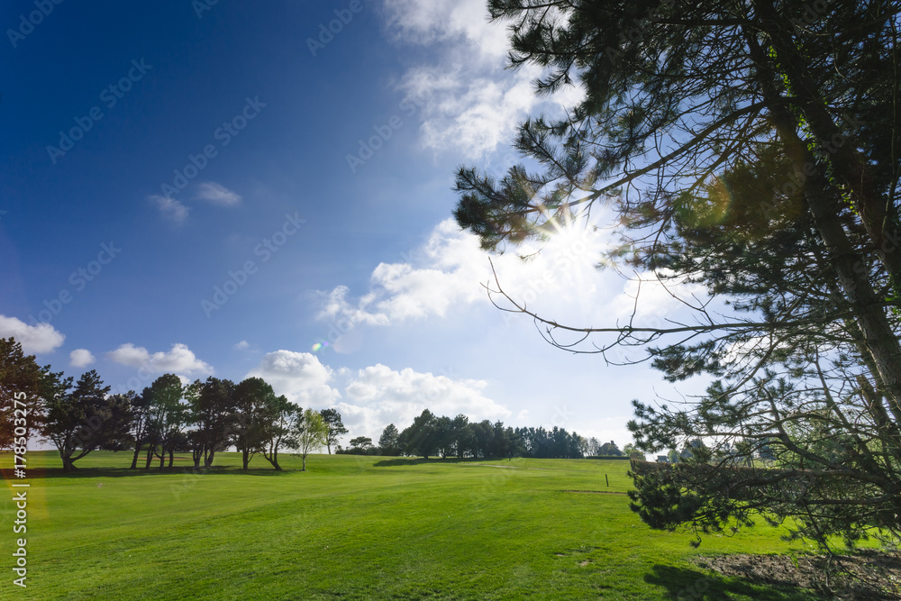 General view of a green golf course on a bright sunny day. Idyllic summer landscape. Sport, relax, recreation and leisure concept