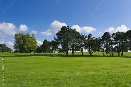 General view of a green golf course on a bright sunny day. Idyllic summer landscape. Sport, relax, recreation and leisure concept