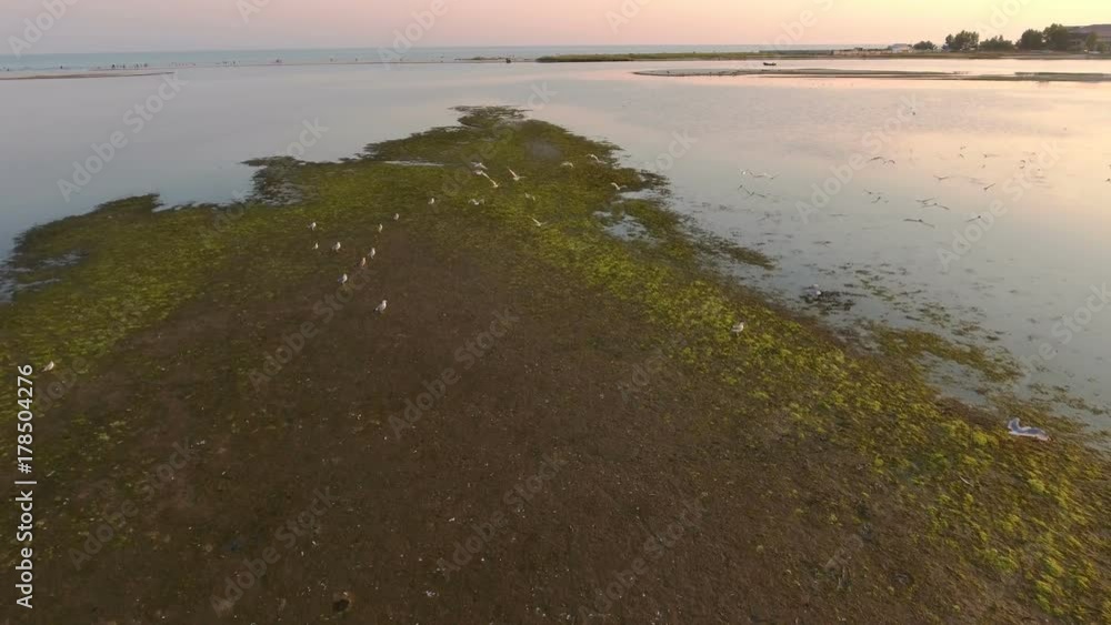 A dreamlike bird`s eye view of a long snake-looking sand spit of Dzharylhach island. The drone is flying over it at sunset. The seagulls take off and fly away while seeing it. A dreamlike bird`s eye view of a long snake-looking sand spit of Dzharylhach island. The drone is flying over it at sunset. The seagulls take off and fly away while seeing it.