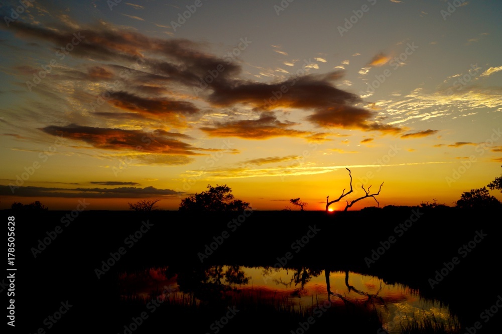 Fototapeta premium Sunset