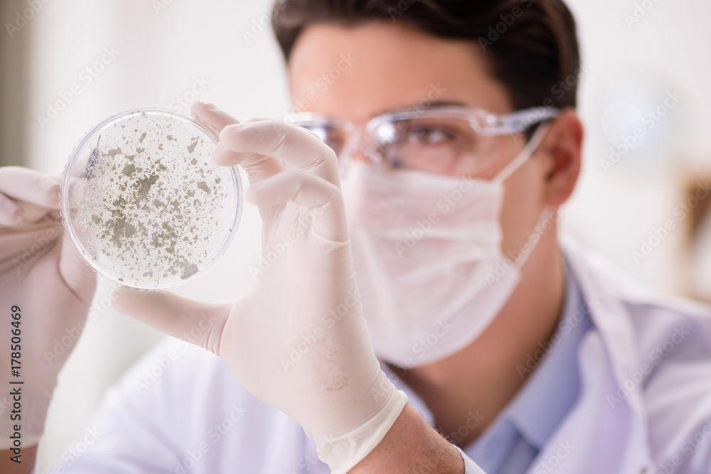 Male doctor working in the lab on virus vaccine Male doctor working in the lab on virus vaccine