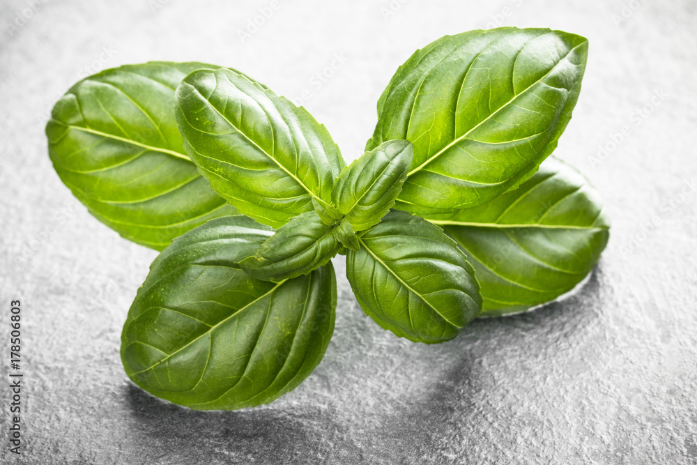 Fototapeta premium Sweet basil leaves over black stone background. Top view.