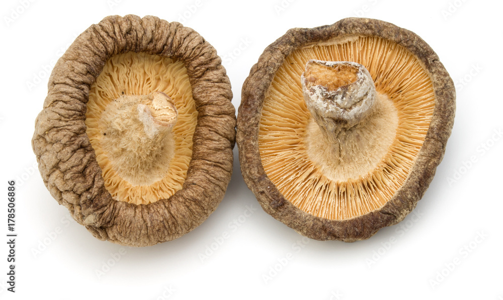 Dried Shiitake Mushroom isolated on white background Dried Shiitake Mushroom isolated on white background