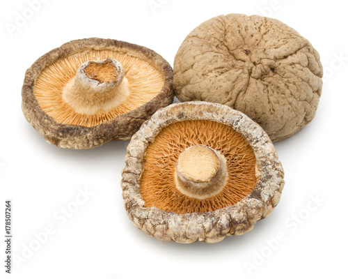 Dried Shiitake Mushroom isolated on white background