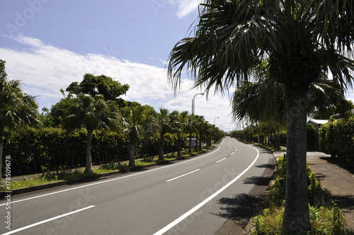 島の道路 © inubi
