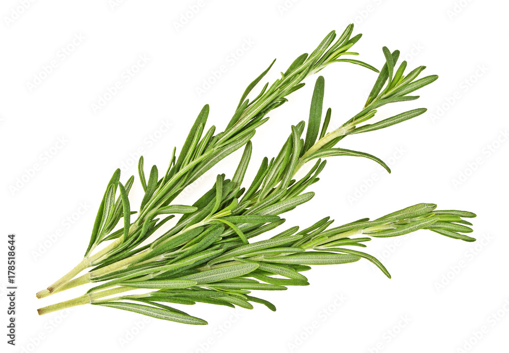 Fototapeta premium Three sprigs of rosemary isolated on white background