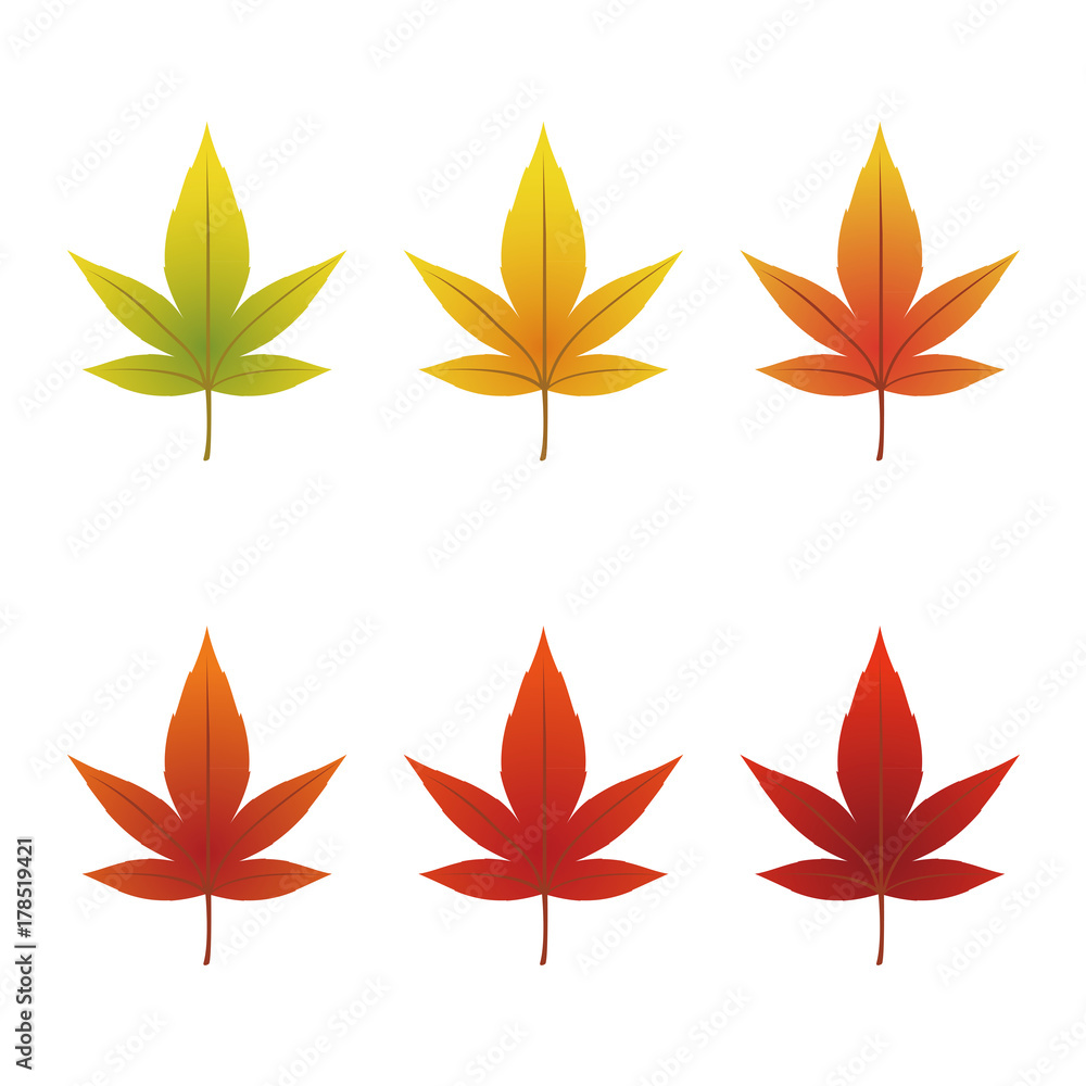 紅葉 葉 紅葉 葉