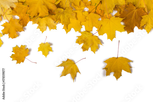 Autumn card of colored falling leafs isolated on white