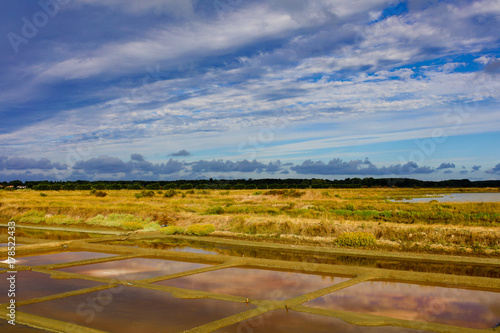 marais salant olonne sur mer