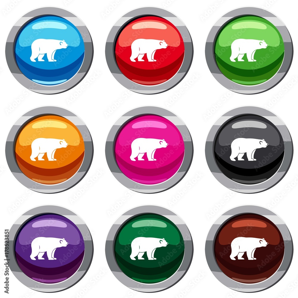 Wild bear set 9 collection Wild bear set 9 collection
