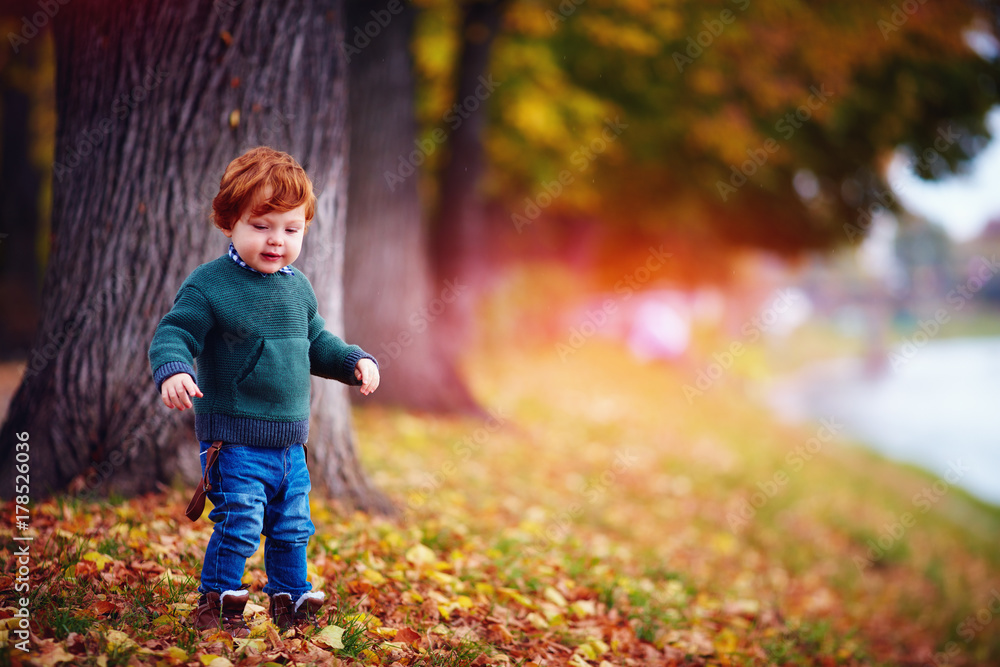 cute redhead baby boy walking in autumn park among colorful fallen leaves
