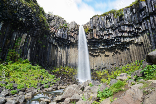 Svartifoss waterfall surrounded by dark lava columns,Iceland