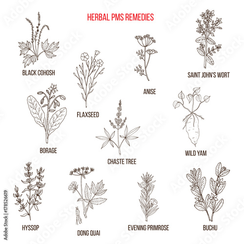 Herbal Remedies for PMS photo