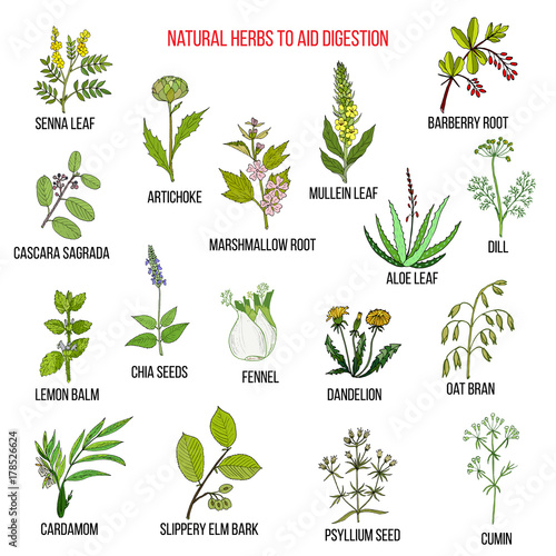 Herbal remedies for aid digestion