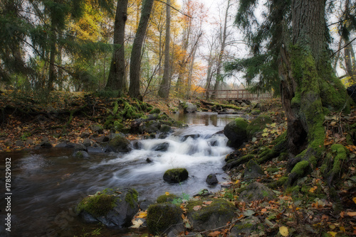 Creek in autumn landscape