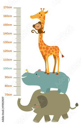 The child's height illustrations