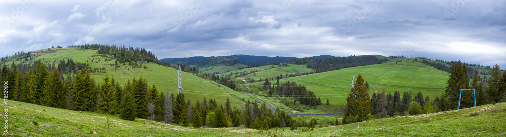 Fototapeta premium Mountain with green hills and pine trees on the slopes of a cloudy overcast
