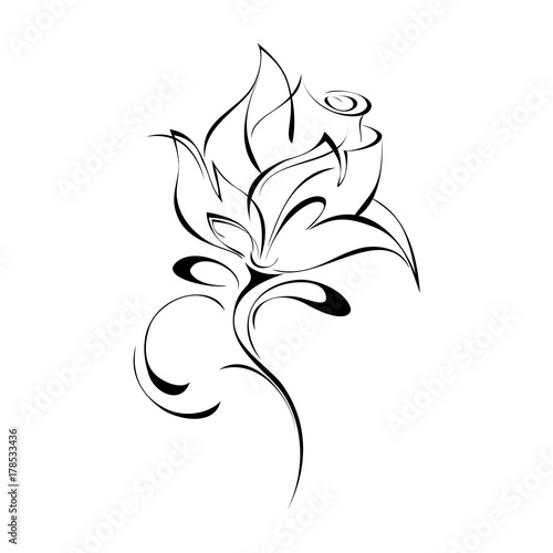 ornament 159. stylized rose in black lines on a white background