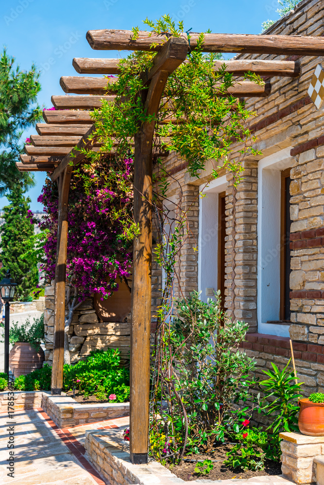 Naklejka premium Beautiful mediterranean flowers