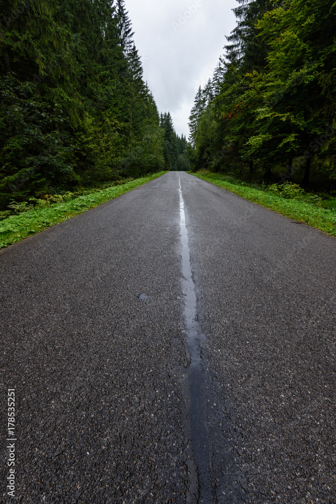 empty asphalt road in the countryside in autumn empty asphalt road in the countryside in autumn