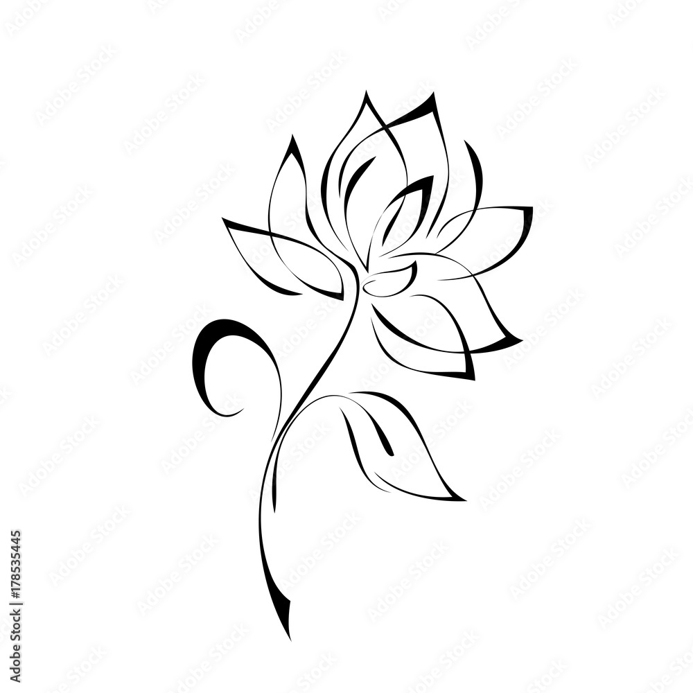 ornament 163. stylized flower in black lines on a white background ornament 163. stylized flower in black lines on a white background