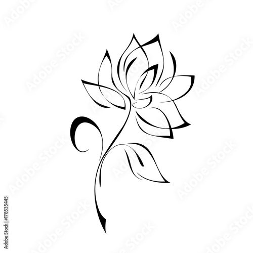 ornament 163. stylized flower in black lines on a white background