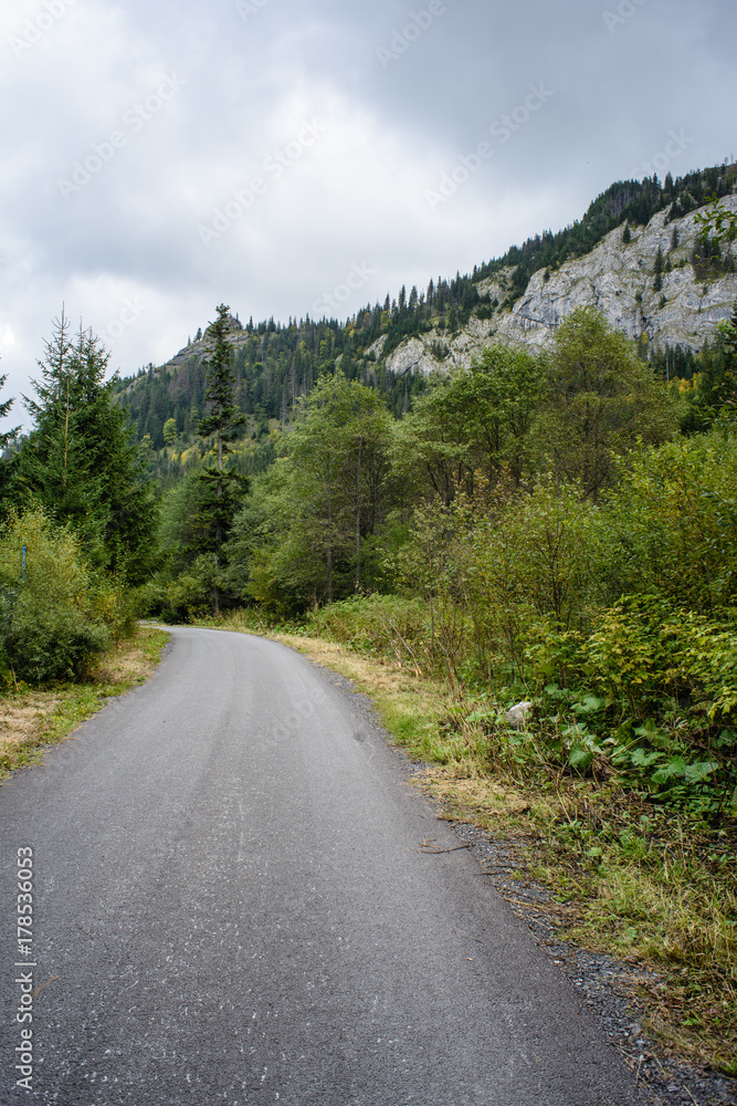 empty asphalt road in the countryside in autumn