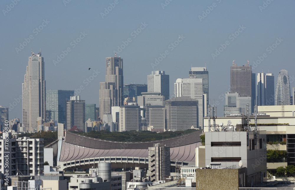 日本の東京都市景観・新宿区の副都心などを望む