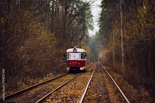 Vintage red tram running through the forest part of the city. Autumn background in the park in Kiev, Ukraine.