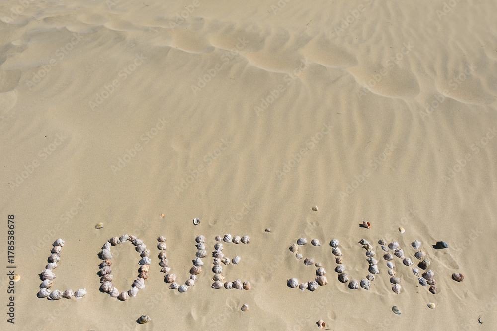 Fototapeta premium Sea shells on sand. Summer beach background. Top view