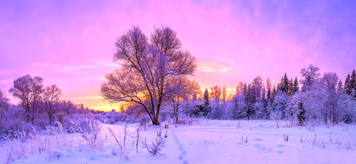 Papier peint photo Pourpre winter panorama landscape with forest, trees covered snow and sunrise.  © yanikap