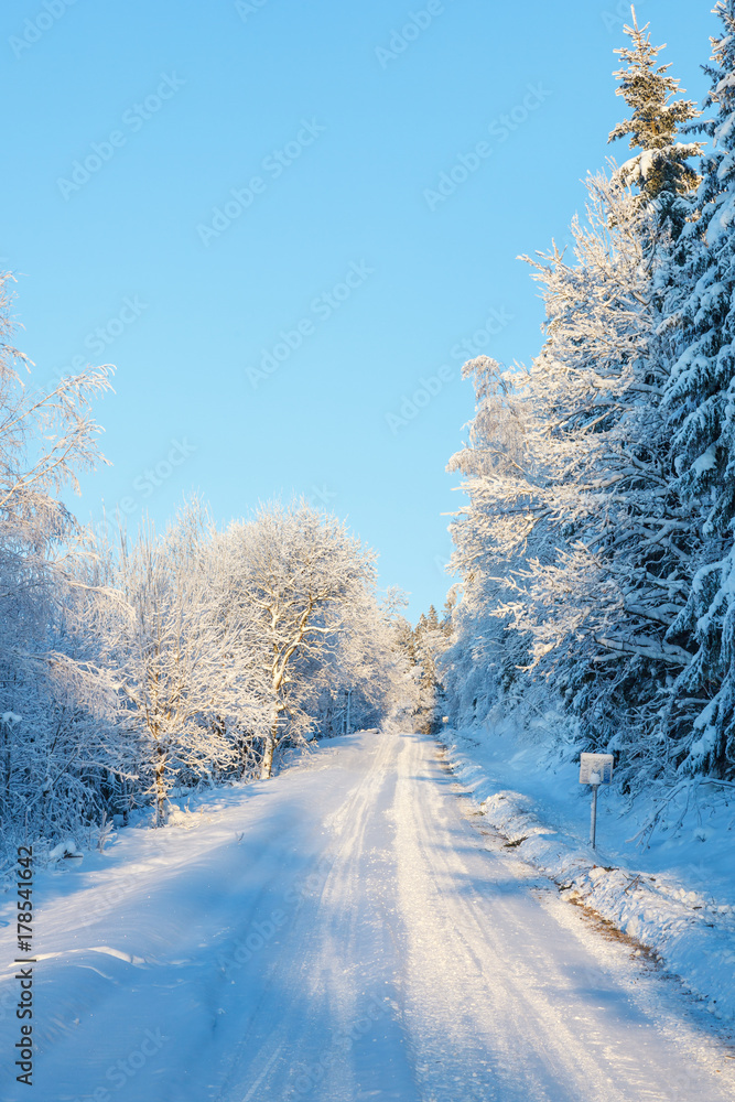 Obraz premium Wintry forest road with snow and frost