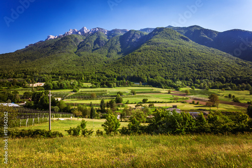 Green alpine landscape in Trento