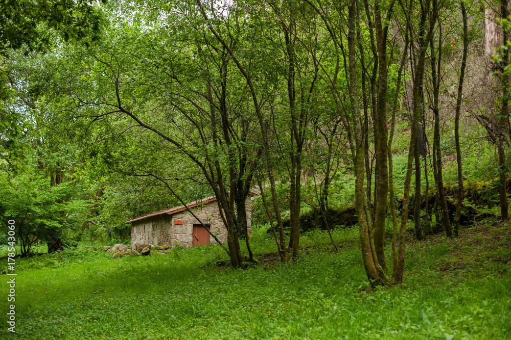 Ruta da Pedra e da Auga