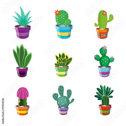 Set of different cacti