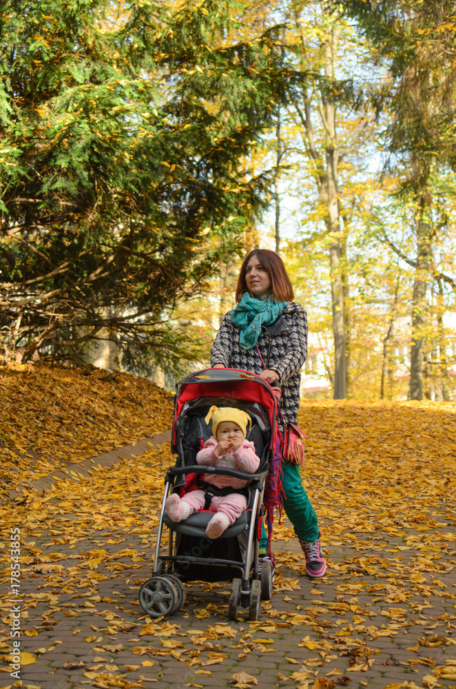 Young mother walking with her baby and carries it in a stroller
