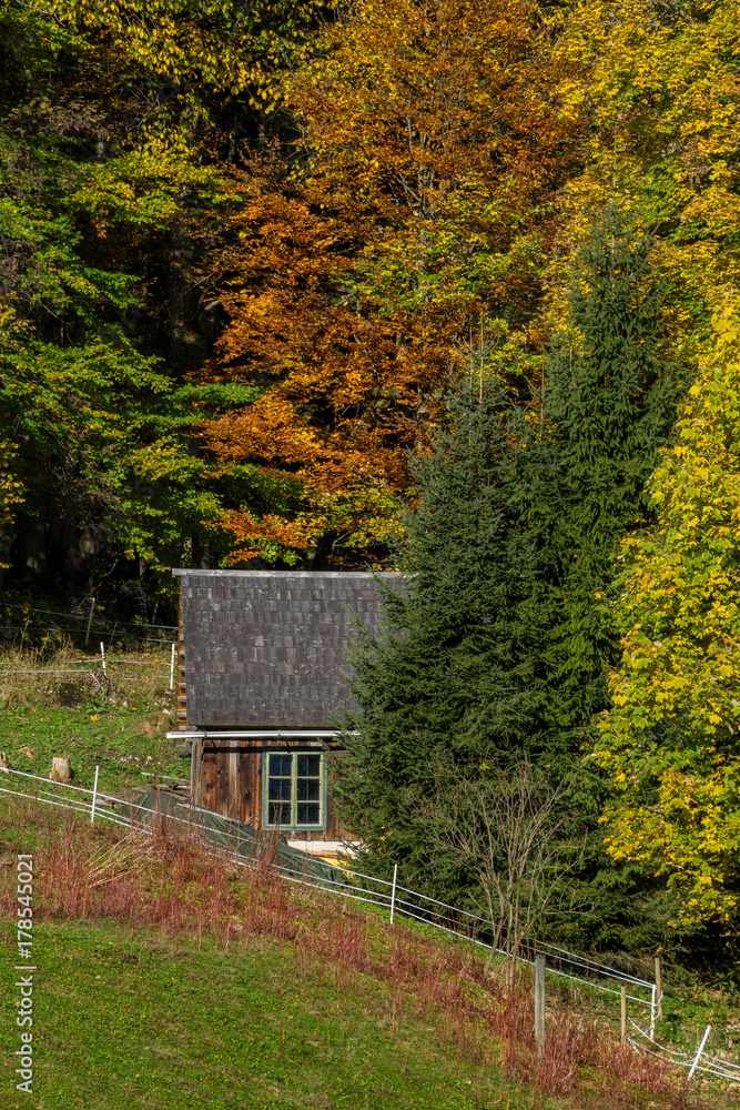 Idyllische Haus im Herbstwald, Salzkammergut Oberösterreich Idyllische Haus im Herbstwald, Salzkammergut Oberösterreich