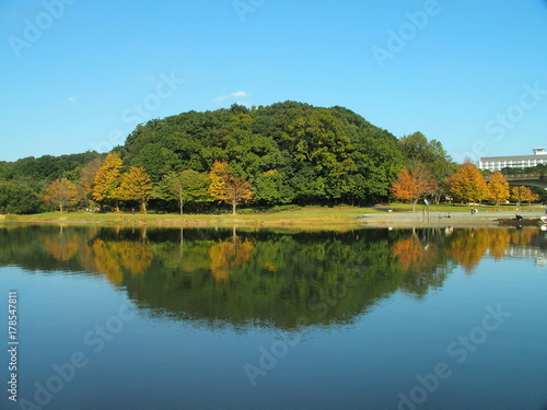秋の池と森風景