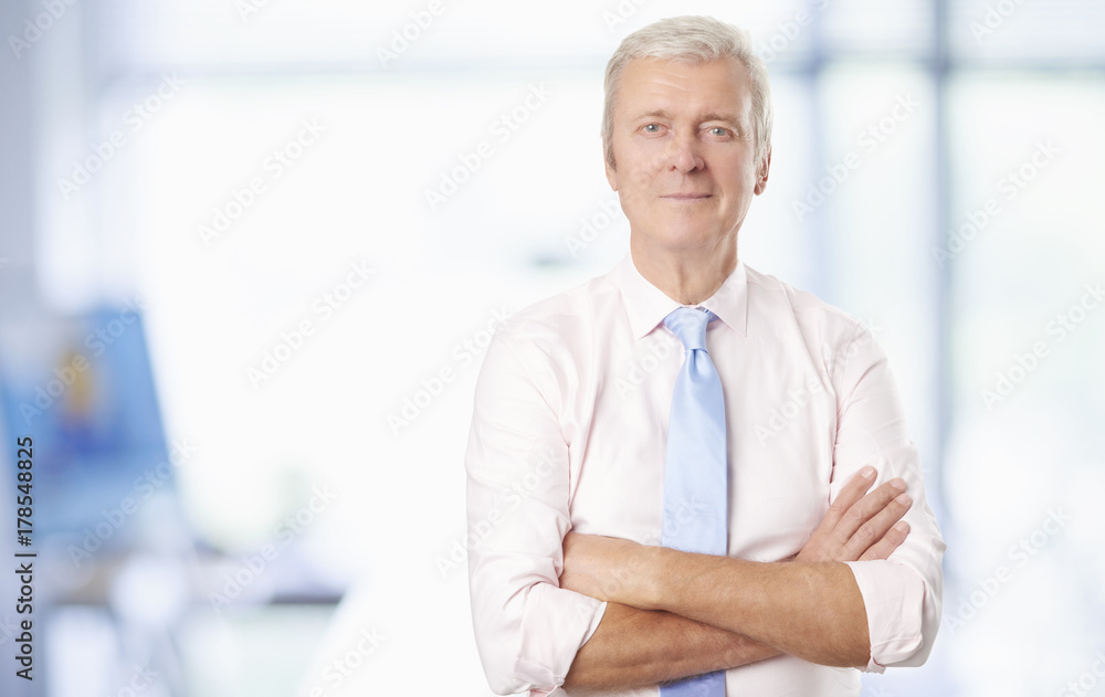 Fototapeta premium Successful in the business. Senior businessman portrait. 