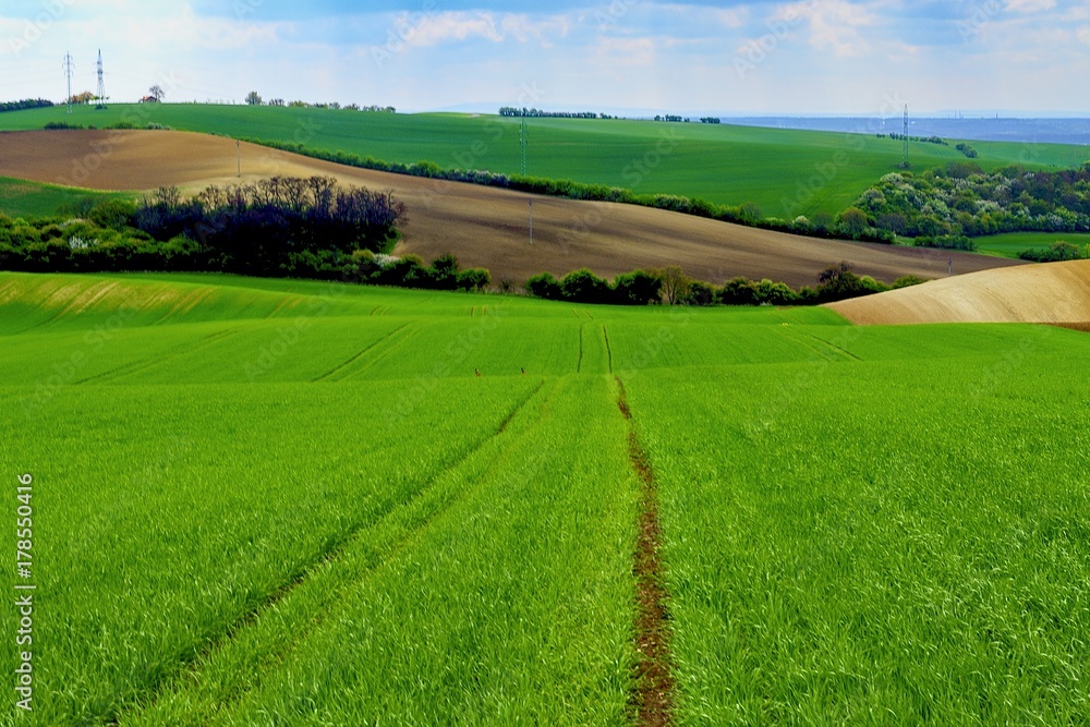 Wavy spring fields in South Moravia. Moravian Tuscany, South Moravia, Czech Republic.