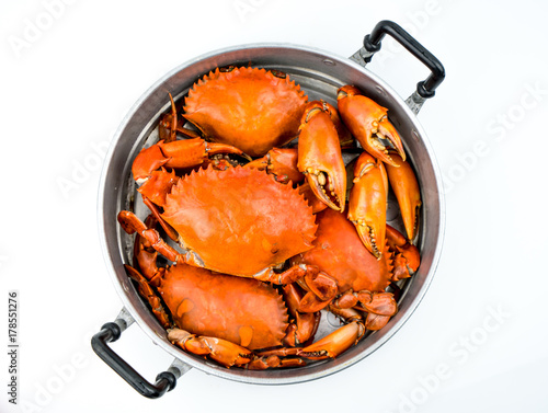 Top view of Scylla serrata. Steamed crab in a pot isolated on white background with copy space. Seafood restaurants concept. photo