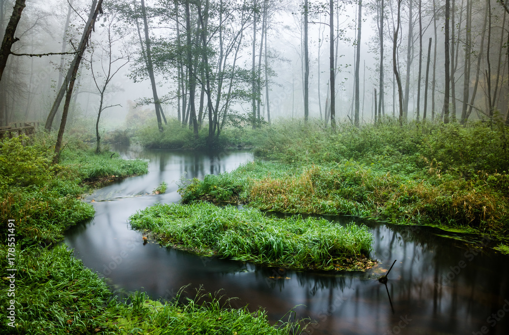 Nature Reserve of the Royal Source in the Kozienice Forest, Mazovia, Poland