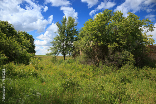 Russia, the Ryazan region (Ryazanskaya oblast), the Pronsky District. The nest of the Lesser Whitethroat in nature..