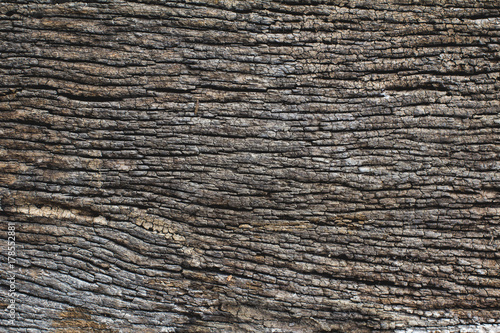 Abstract background surface is uneven and rutted, rough wood of old.Old Wood Texture.