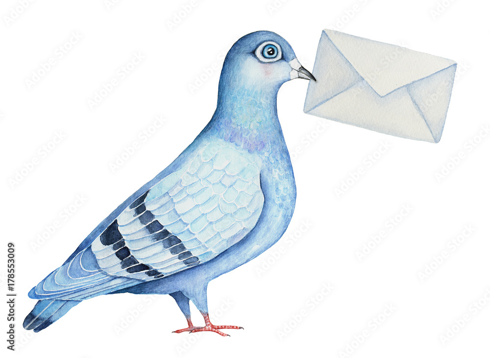 Homing fancy pigeon character holding a mail envelope letter. Post