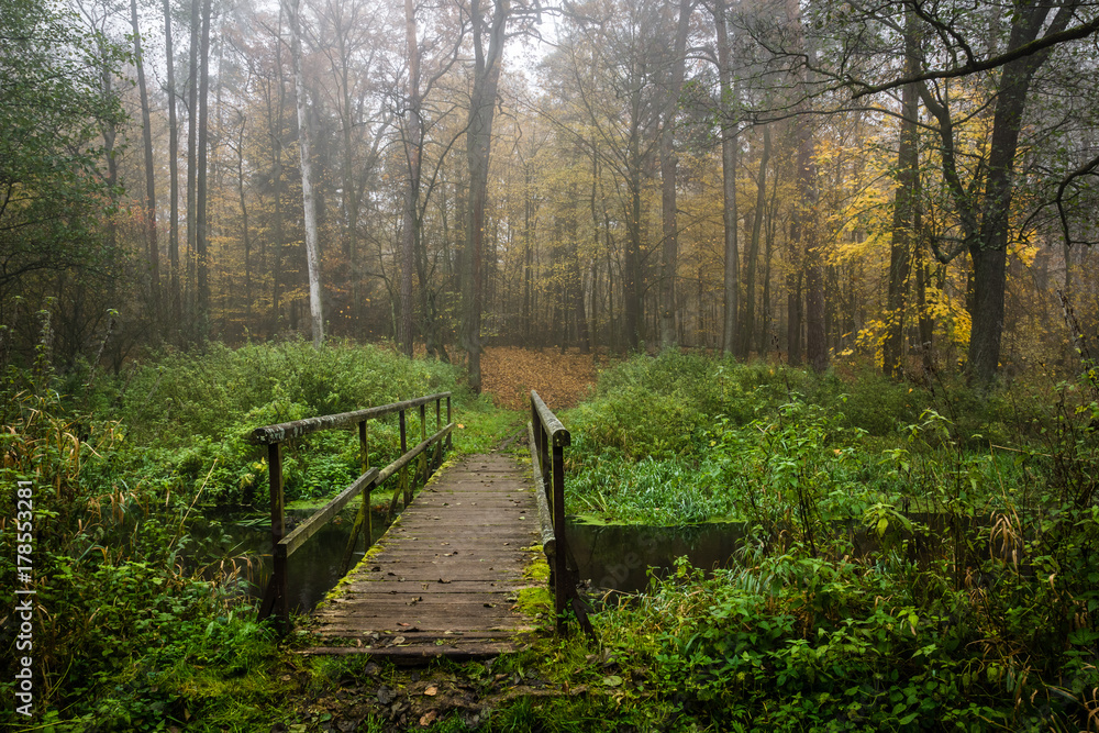 Nature Reserve of the Royal Source in the Kozienice Forest, Mazovia, Poland